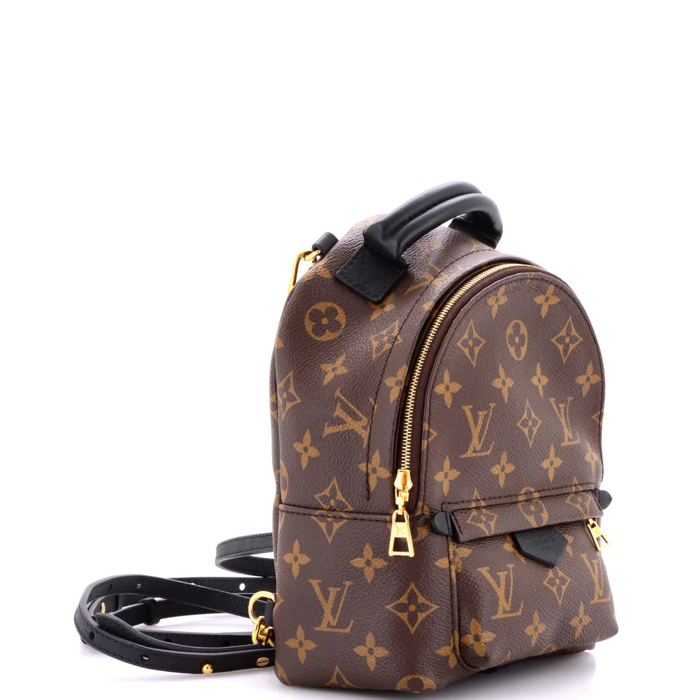Louis Vuitton Palm Springs Backpack Monogram Canvas Mini