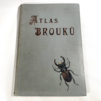 Atlas Brouku By Frantiek Klaplek, 1903, Czech Beetle Atlas, Full-Color