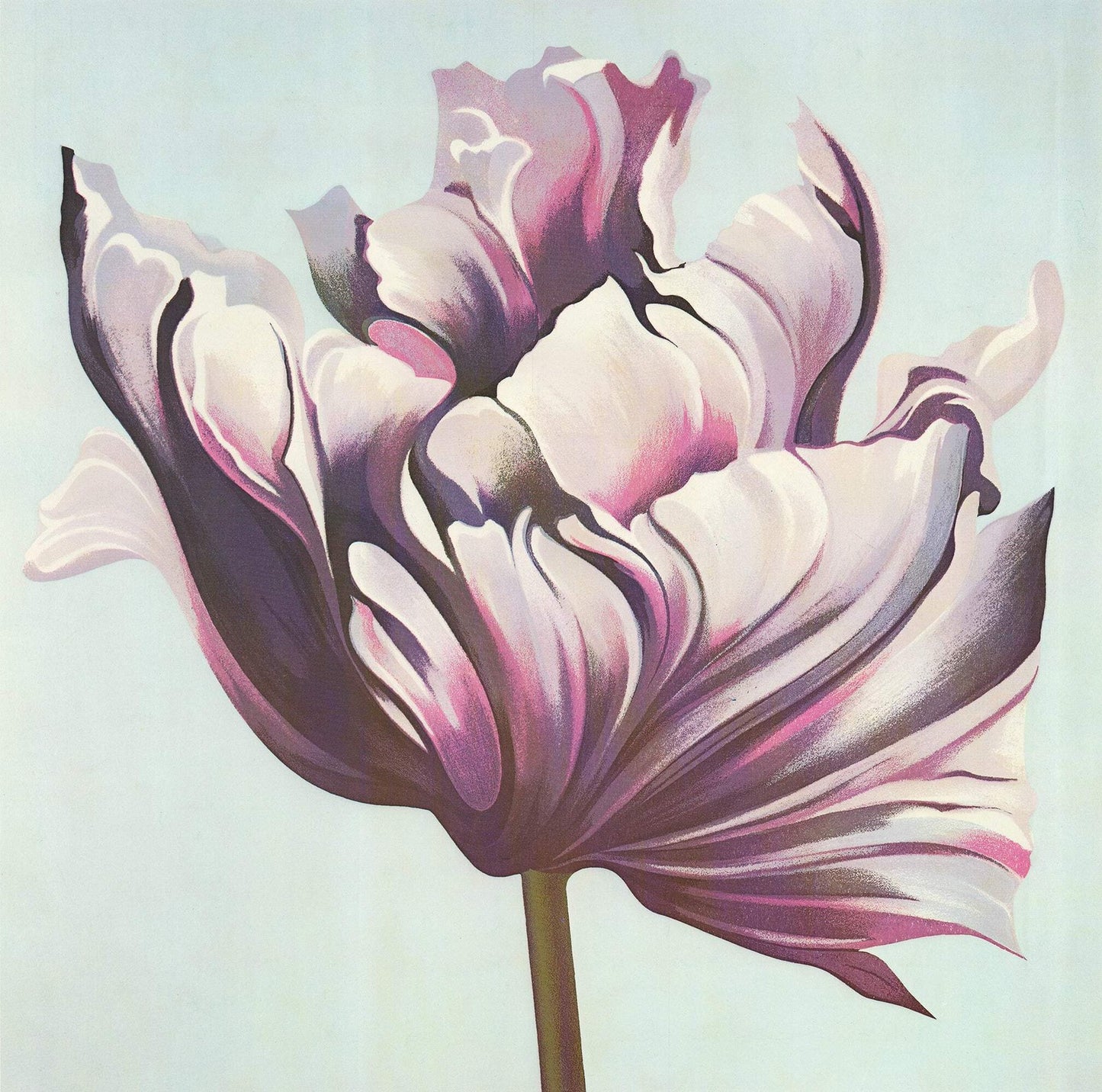 Lowell Nesbitt Parrot Tulip On White Signed " Offset Lithograph 198