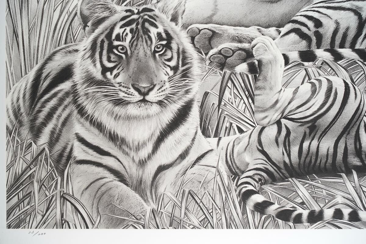 Beppe Spadacini (Italy) Original Silkscreen Print Save The Tigers Signed Framed