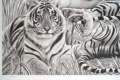 Beppe Spadacini (Italy) Original Silkscreen Print Save The Tigers Signed Framed