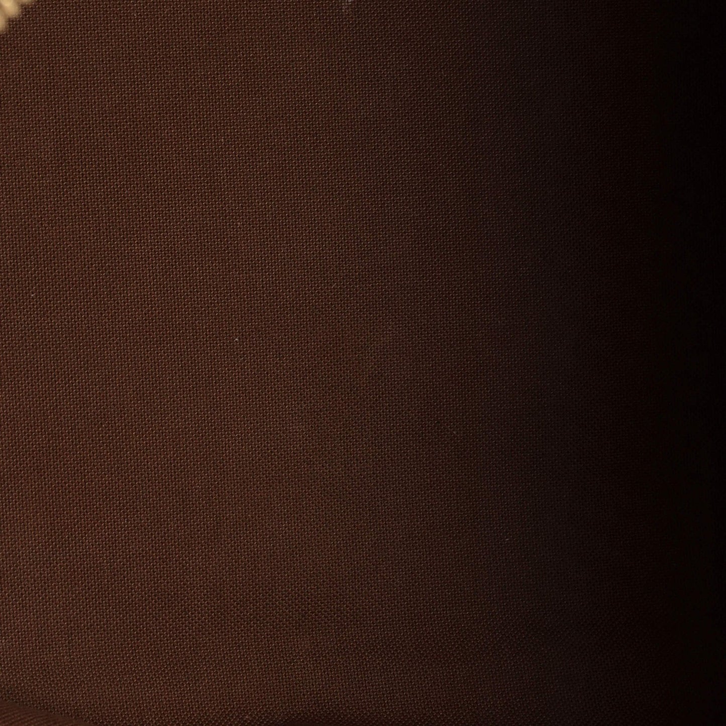 Louis Vuitton Palermo Handbag Monogram Canvas Pm