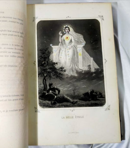 1849 J.J. Grandville Les Toiles 1St Edition Rare Hand-Colored Plates Leather