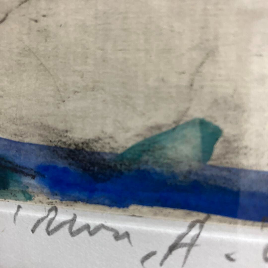 Alessandro Nocentini Original Etching Seashells