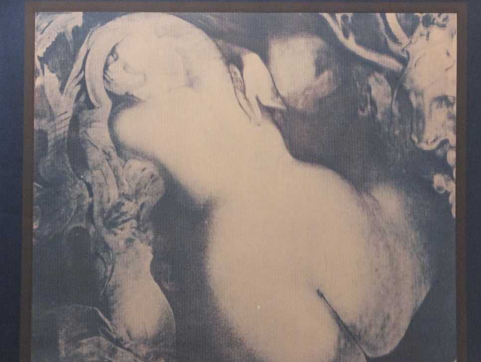 Ernst Fuchs Original Signed Silk Screen Print Salamander'S Shadow Austria Framed