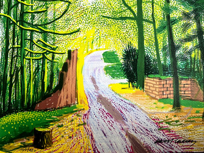 David Hockney Lithograph Coa Signed Op Numbered