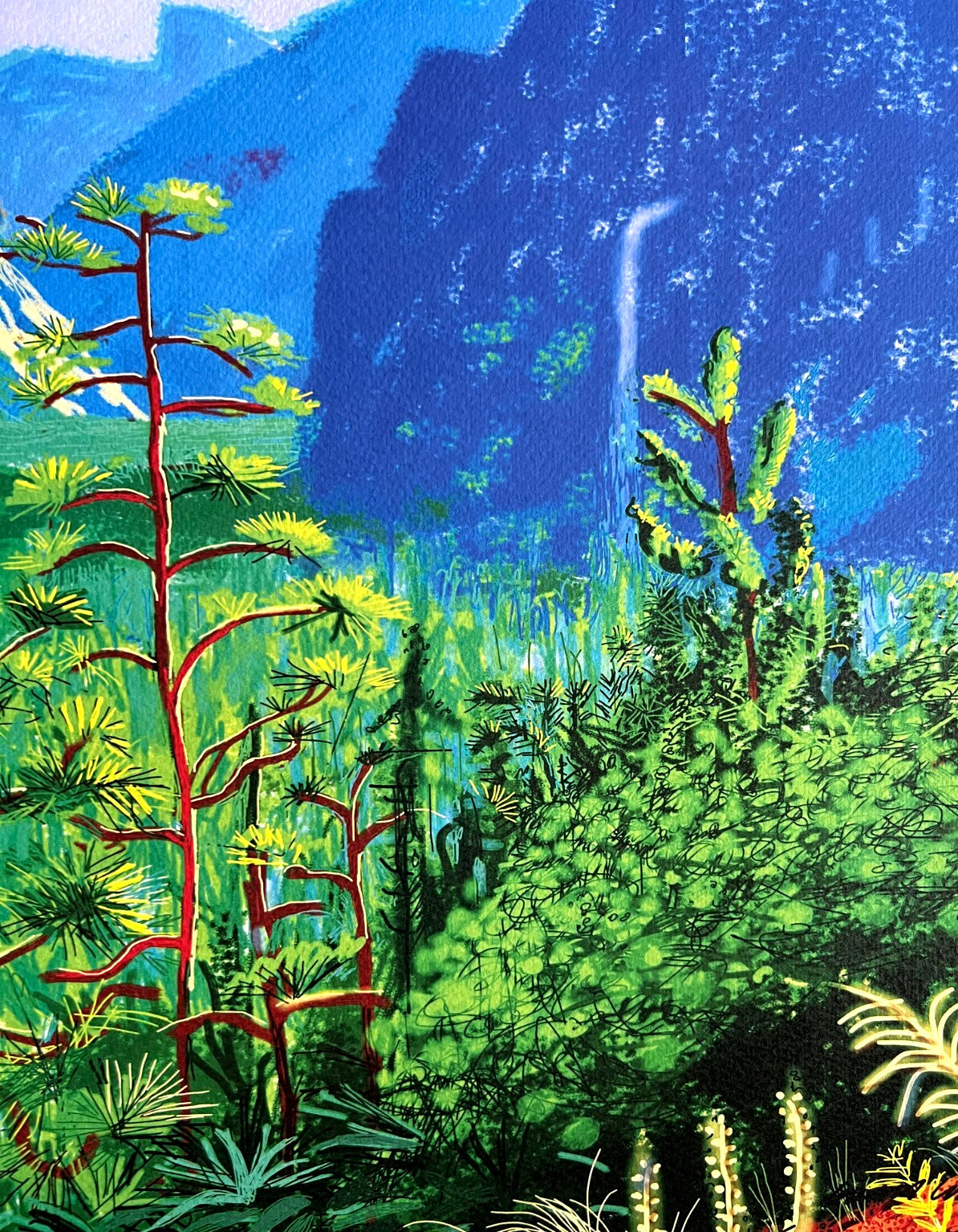 David Hockney Lithograph Coa Signed Op Hand Numbered Limited