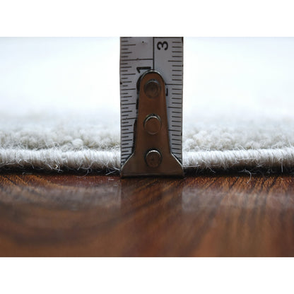 6'X8'10" White Wash Peshawar Pure Velvety Wool Light Gray Handknotted Rug