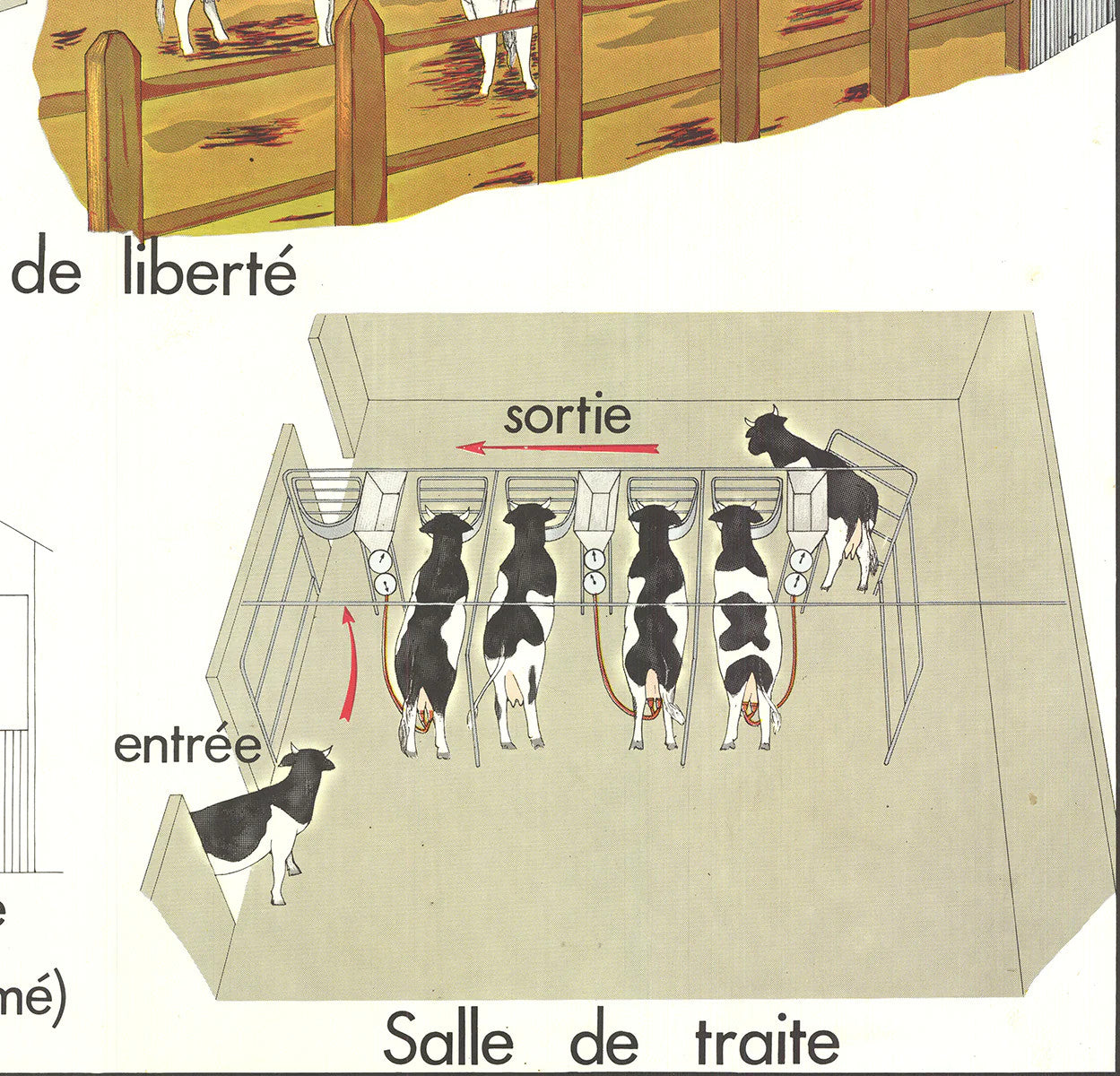Emile Deyrolle Logement Des Bovins " Offset Lithograph Contempo