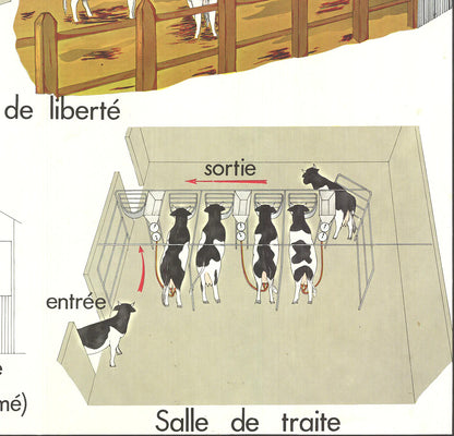 Emile Deyrolle Logement Des Bovins " Offset Lithograph Contempo