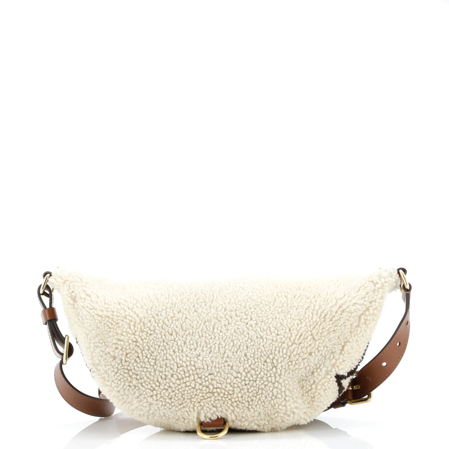 Louis Vuitton Bum Bag Monogram Giant Teddy Fleece