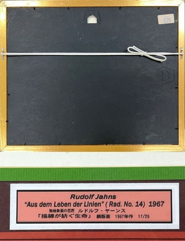 Art Rudolf Jahns Aus dem Leben der Linien 1967 Etching Signed 17/ 25 German