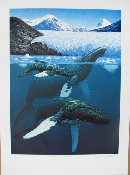 Don Mcmichael - 'Summer Feeding Ground' Offset Lithograph, Signed & Numbered