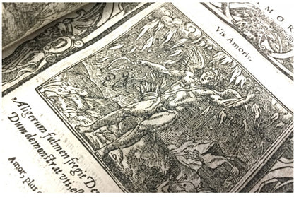 Andrea Alciati - Emblemata 16Th Century Coat Of Arms Illustration Book Latin