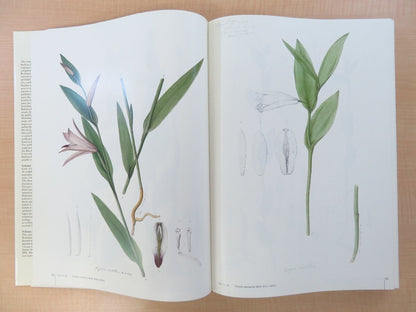 Joao Barbosa Rodrigues :Iconographie Des Orchides