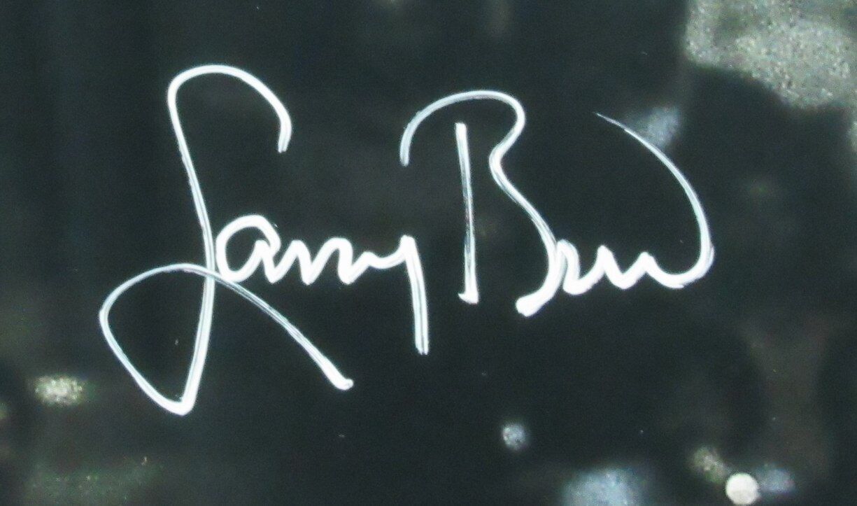 Larry Bird Hof Signed/Auto 16X20 Photo Boston
