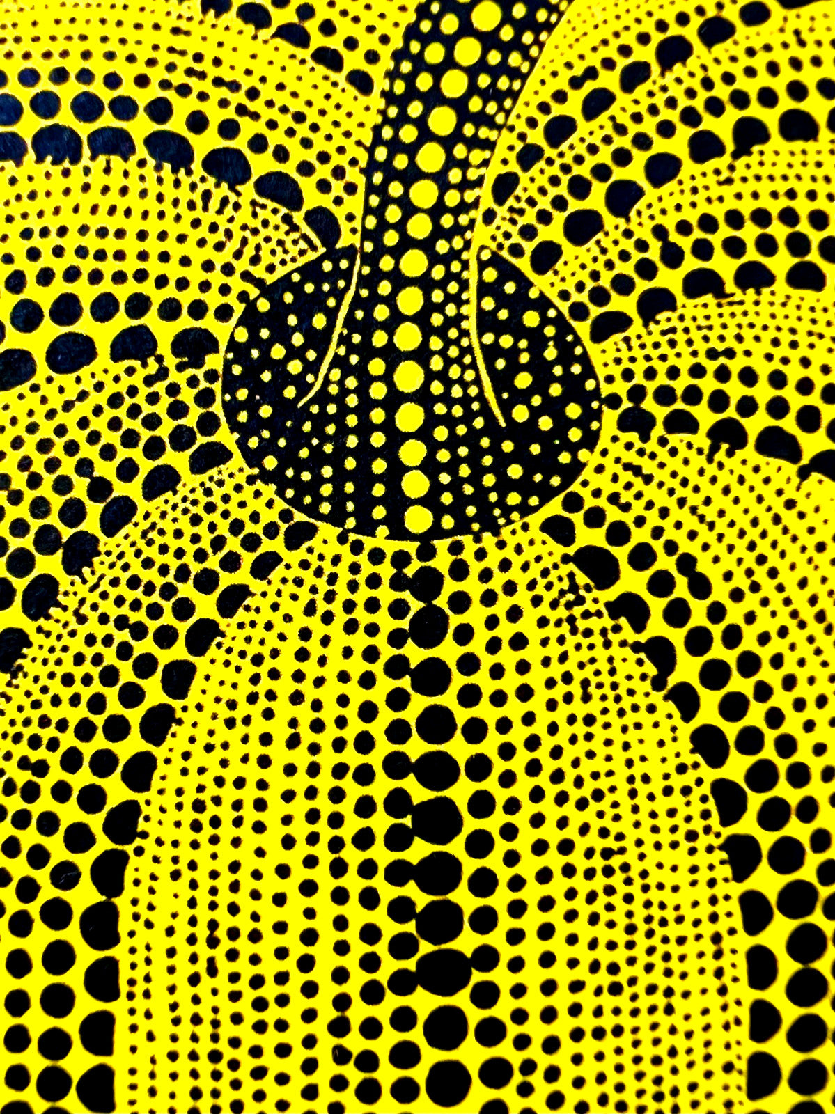 Yayoi Kusama Lithograph Mori Museum Coa Original Numbered Limited To 200