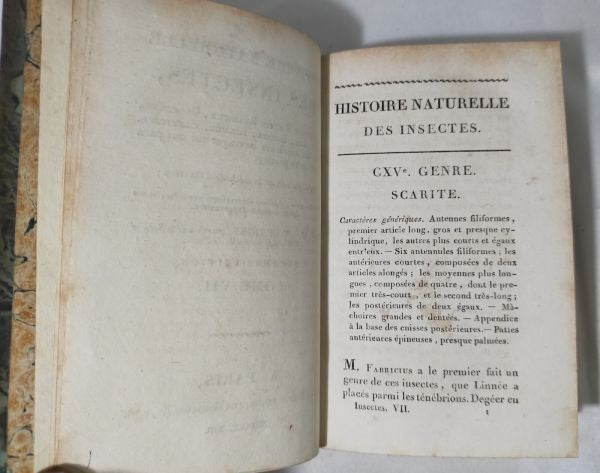 1813 Histoire Naturelle Des Insectes Tome Vii Hand Colored Engravings De Tigny