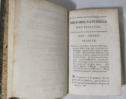 1813 Histoire Naturelle Des Insectes Tome Vii Hand Colored Engravings De Tigny