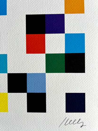 Ellsworth Kelly Lithograph Coa Signed Op Numbered