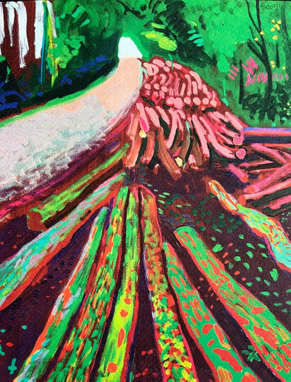 David Hockney Lithograph Coa Signed Op Numbered A Hand Limited &