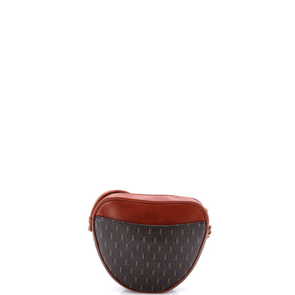 Saint Laurent Le Monogramme Coeur Bag Monogram All Over Coated Canvas