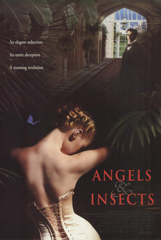 Artist Unknown Angels & Insects 