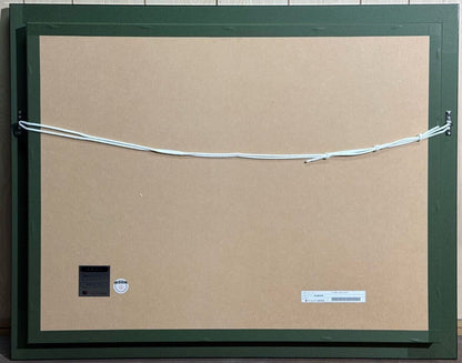 Christian Riese Lassen Order Works Signed Dolphin Orca Art Framed Coa