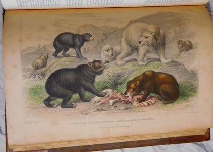 1866 Goldsmith History Of Earth And Animated Nature 2 Vols Blackie Hand-Color