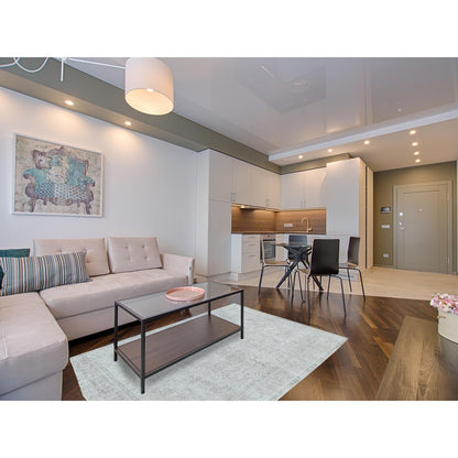 6'5"X9'4" Gray Old Farsian Hand Knotted Worn Down Wool Distressed Rug