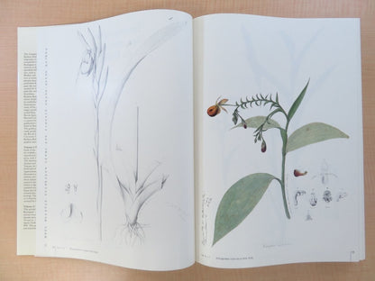 Joao Barbosa Rodrigues :Iconographie Des Orchides Du Brsil Complete In 2 Vol