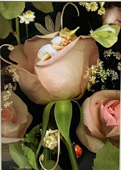 Charlotte Bird (Uk) Photograph Print Fairy Rose