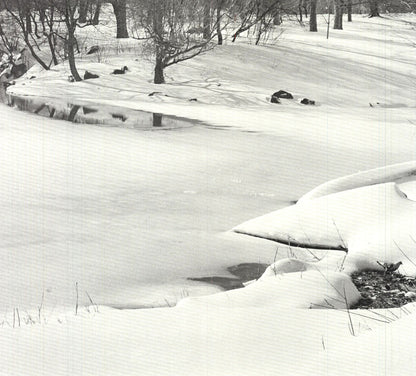 Joel Greenberg Central Park " Offset Lithograph Contemporary