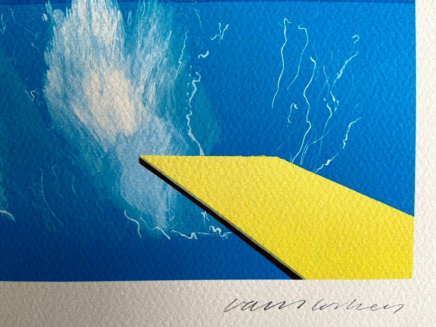 David Hockney Lithograph Signed COA Numbered in Pencil