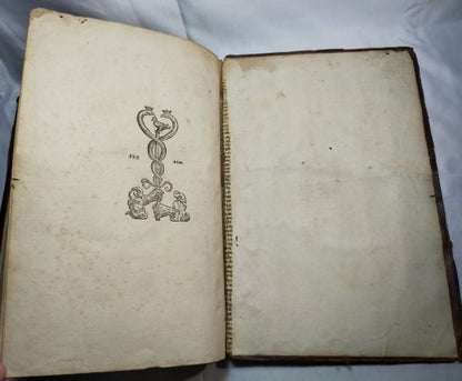 1531-1534 Froben Gregorius Nazianzen Orationes & Irenaeus Erasmus Editio Vellum