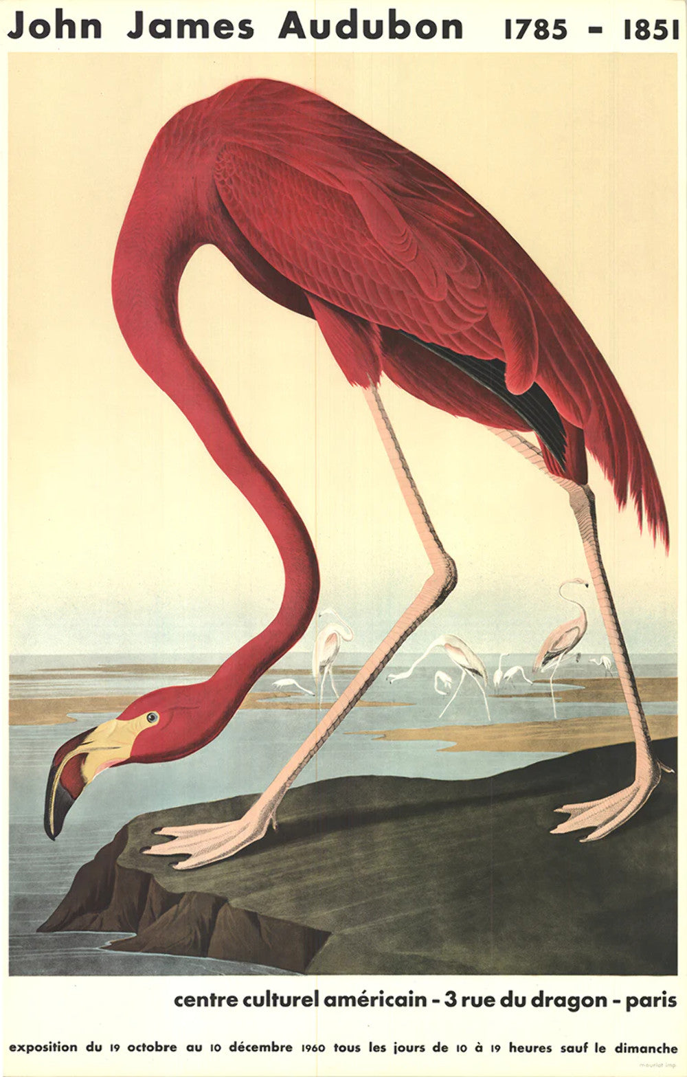John James Audubon American Flamingo " Lithograph Modernism Par