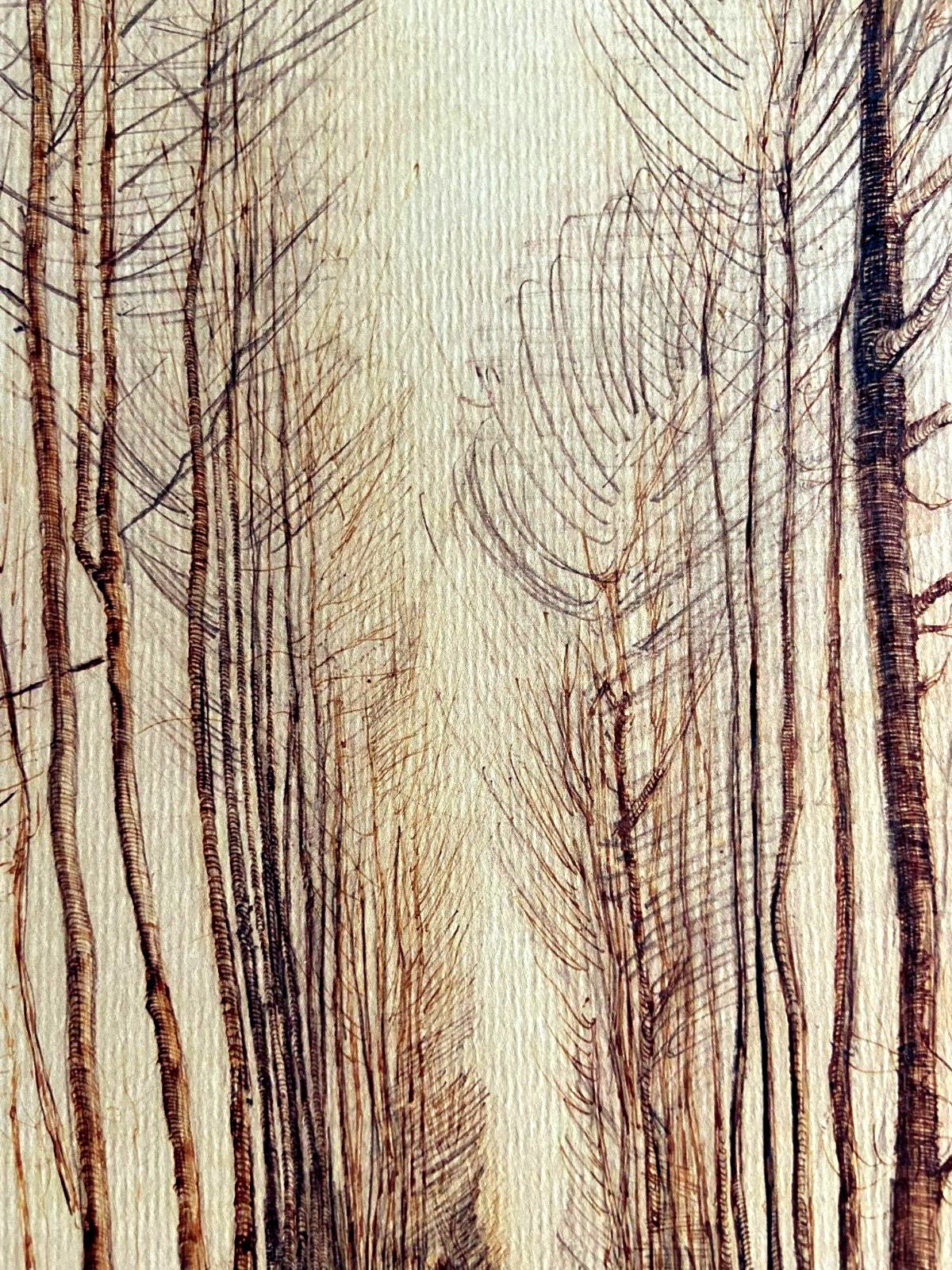 Vincent Van Gogh Museum Lithograph From A Painting Coa Signed Op Edvard Munch