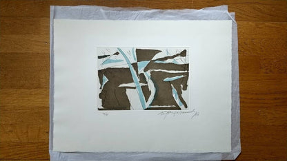 Albert Rafols Casamada Original Etching Estiu-4 Summer-4 Spain 1988 Signed Frame