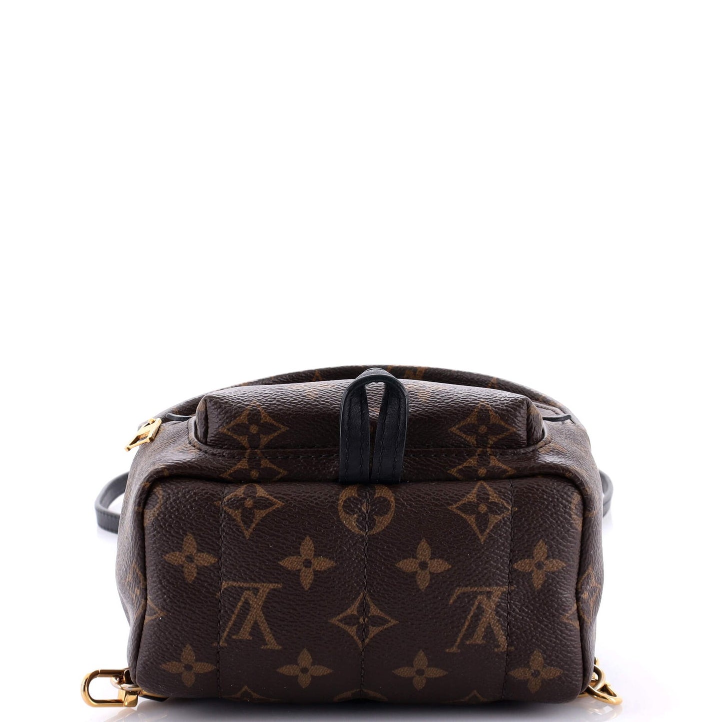 Louis Vuitton Palm Springs Backpack Monogram Canvas Mini