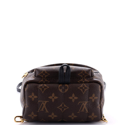 Louis Vuitton Palm Springs Backpack Monogram Canvas Mini
