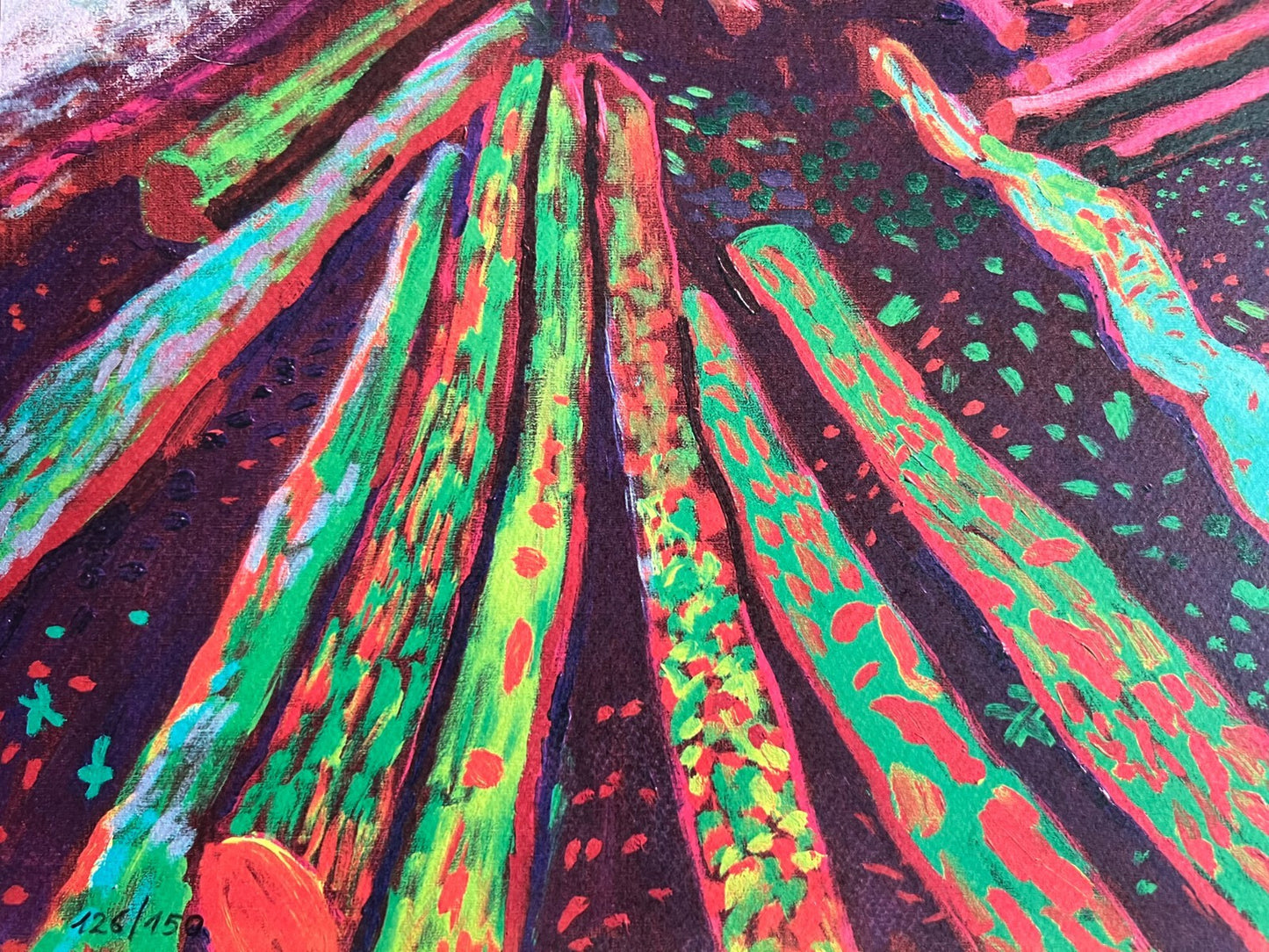 David Hockney Lithograph Coa Signed Op Numbered A Hand Limited &