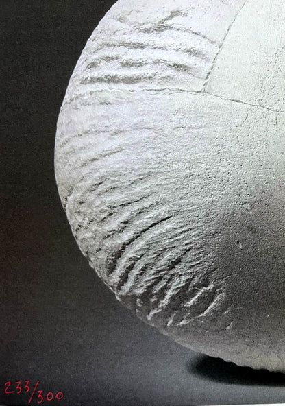 Constantin Brancusi Photograph ''Muse Endormie'' 300 Ex For The Centenary Ny