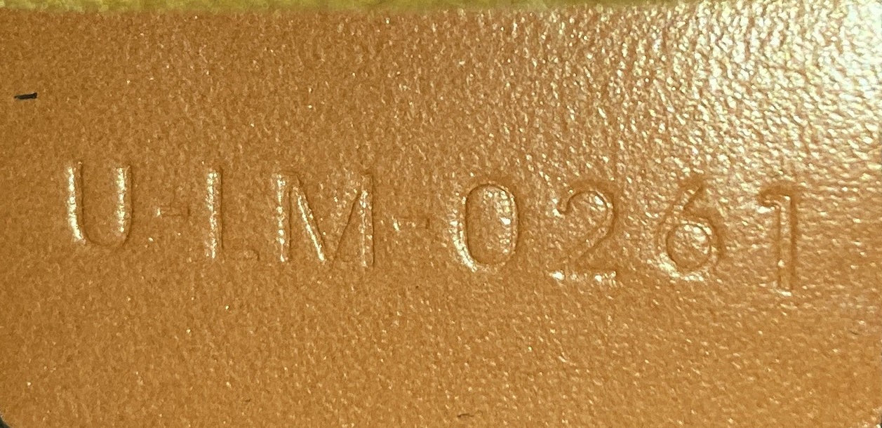 Celine Ava Bag Triomphe Coated Canvas