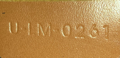 Celine Ava Bag Triomphe Coated Canvas