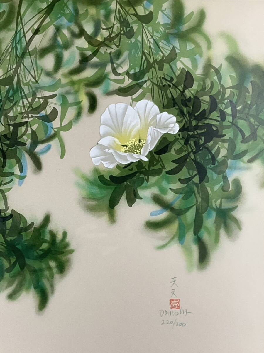 David Lee (Li Tian Wen) Lithograph "White Flowers" Signed, Numbered Framed