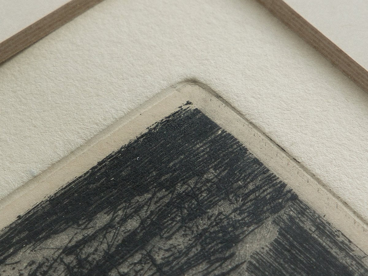 Ernst Fuchs Birth Of Venus Etching, Signed, Very Rare Ed.20, Fantastic Realism