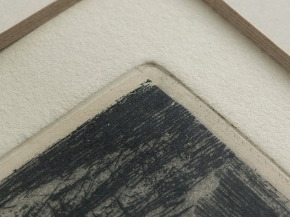 Ernst Fuchs Birth Of Venus Etching, Signed, Very Rare Ed.20, Fantastic Realism