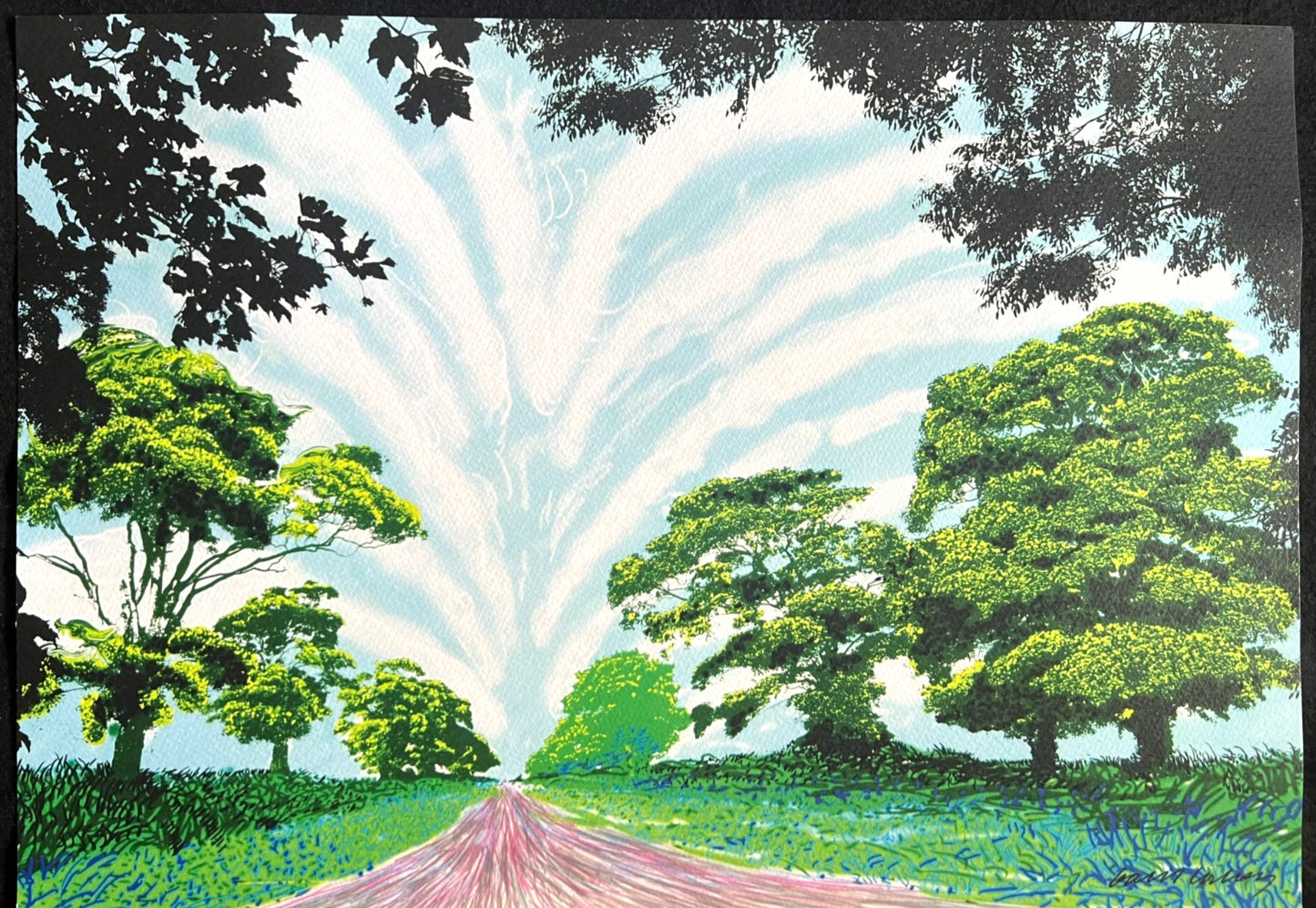 David Hockney Lithograph Coa Signed Op Numbered A Hand Limited