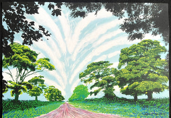 David Hockney Lithograph Coa Signed Op Numbered A Hand Limited