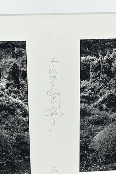 Hamish Fulton Photogravure Print East South West